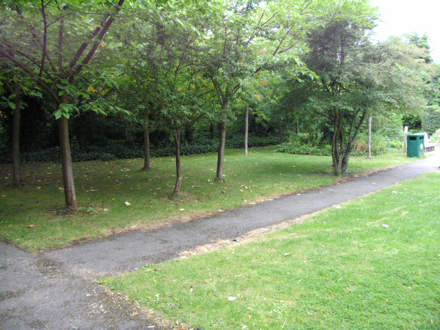 Picnic area