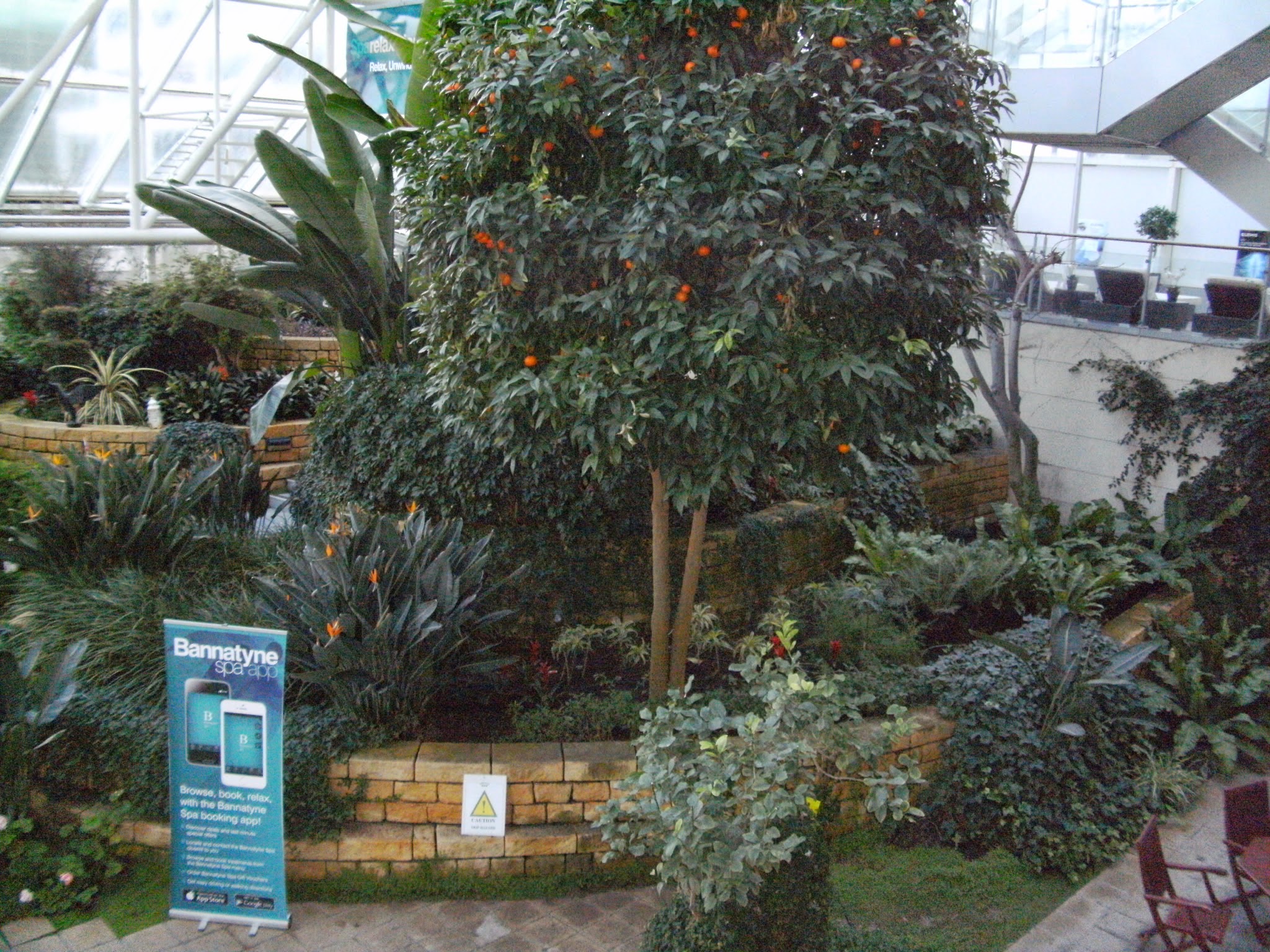 Bannatyne Garden